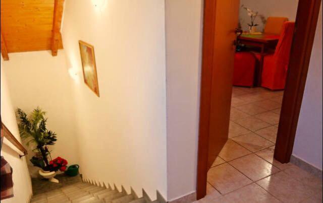 Apartment Emanuela Rovinjsko Selo Extérieur photo