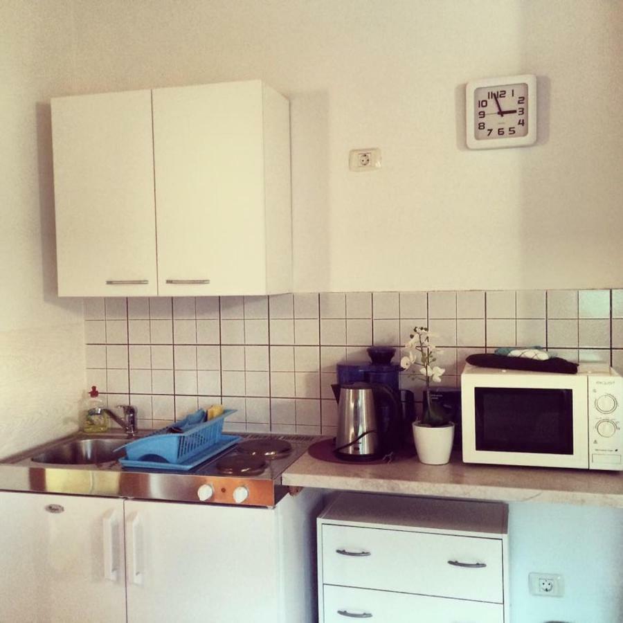 Apartment Emanuela Rovinjsko Selo Extérieur photo